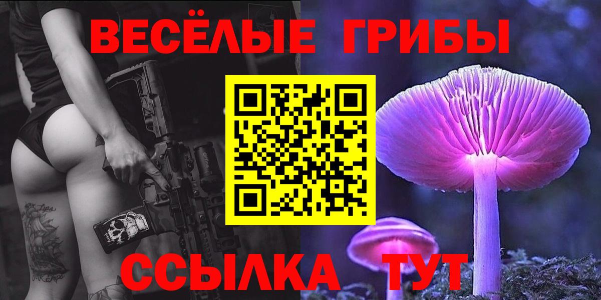 Энгельс  купить наркотики сайты  Вход с VPN  Псилоцибиновые грибы Magic Shrooms 